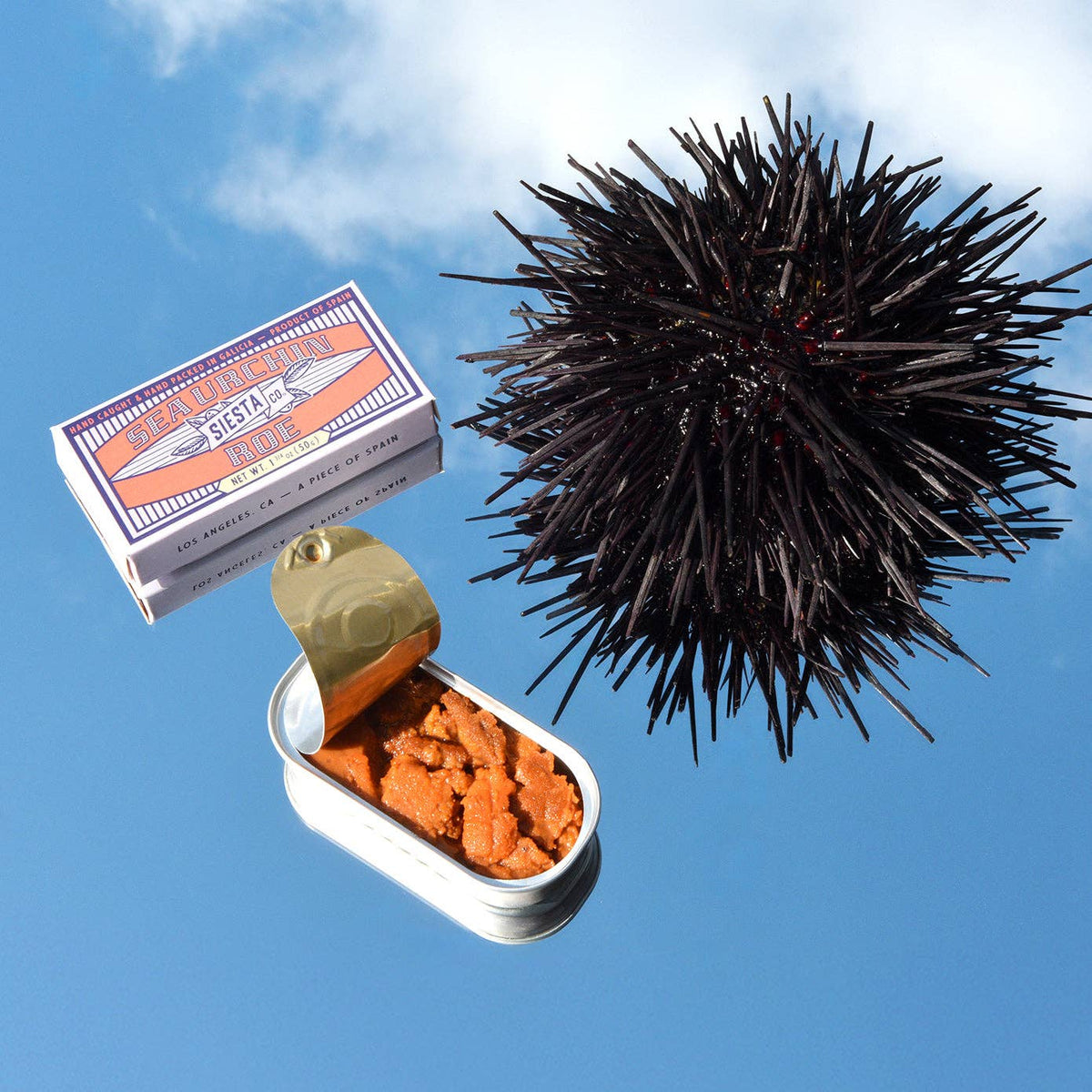 N Siesta Co. Sea Urchin Roe