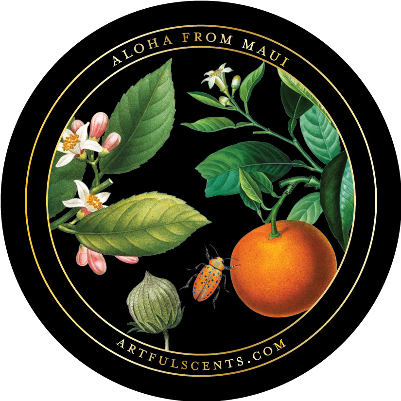 B Sunrise Candle - Neroli + Grapefruit